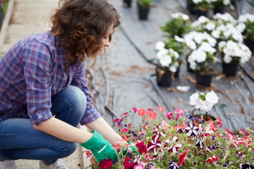 Lawn mowing service professionals at work in Crouch End
