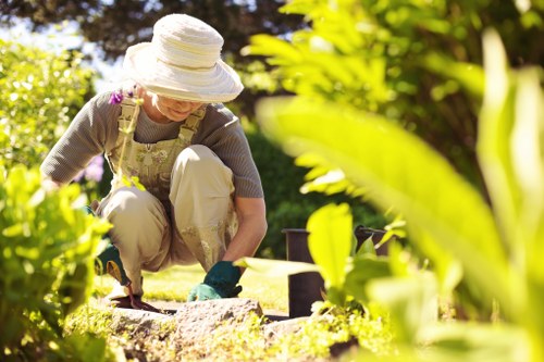 Eco-friendly lawn care practices in Crouch End