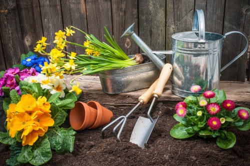A colorful garden scene featuring a variety of potted flowering plants, including yellow daffodils, purple primroses, and pink and white primulas, arranged on rich dark soil. Behind the plants, there are gardening tools such as a small trowel, a hand rake, and a watering can, suggesting recent or ongoing garden maintenance. The background consists of a weathered wooden fence, indicating an outdoor space in a residential garden setting. The scene captures natural lighting, highlighting the vibrant colors of the flowers and the textures of the garden tools and soil. The arrangement reflects a well-maintained garden area typical of a residential property in Crouch End, suitable for garden care services offered by Garden Maintenance Crouch End to keep outdoor spaces thriving and visually appealing.
