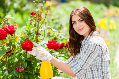 Professional garden clearance tools and equipment
