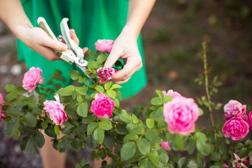 Eco-friendly garden clearance practices in action