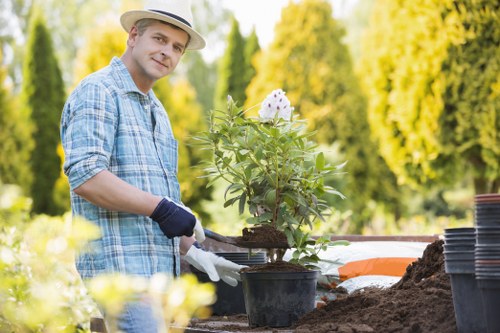 Professional mowing equipment used in Crouch End lawns